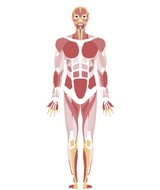 Book an Appointment with Charlotte Boivin-Carrier at Clinique de la Douleur - Neurothérapie Montréal