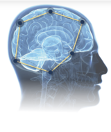 Book an Appointment with Brain Vitals - ERP Brain Scan at Brain Vitals