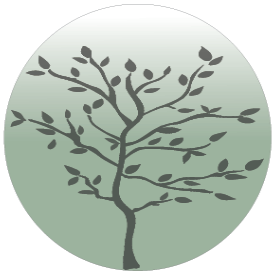 Tall Tree Psychotherapy
